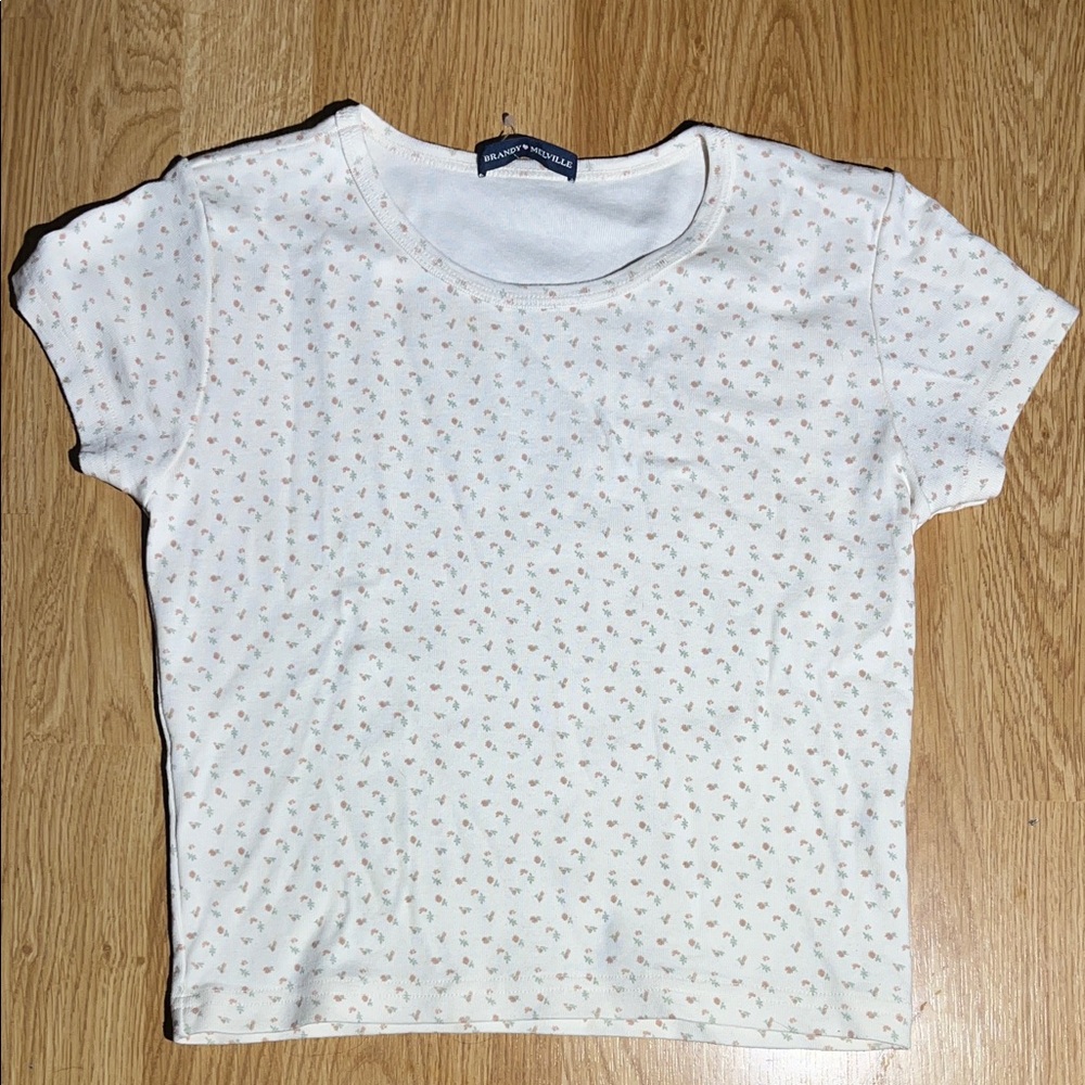 Brandy Melville floral crop top